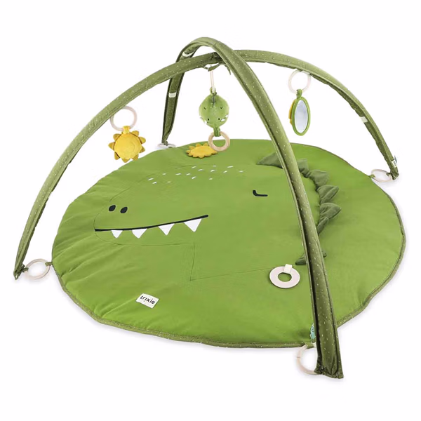 Activity play mat with arches - Mr. Dino